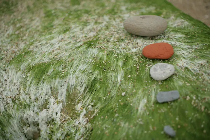 Illustrative arrangement of smooth stones and green leaves